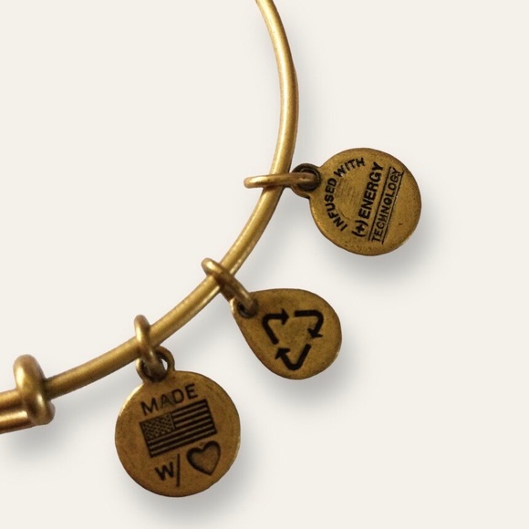 Alex and Ani NFL New England Patriots Charm Bracelet, Gold – NWT - Picture 8 of 13